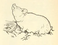 Grisen