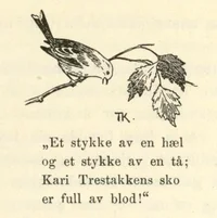 Et stykke av en hæl og et stykke av en tå; Kari Trestakkens sko er full av blod!