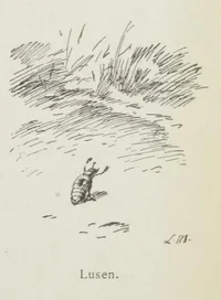 Lusen