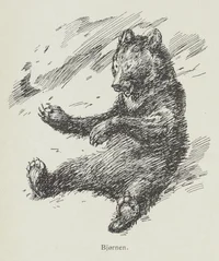 Bjørnen