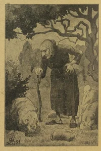 Heks i skogen