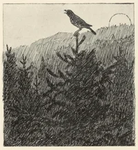 Illustrasjon