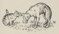 Hund og katt
